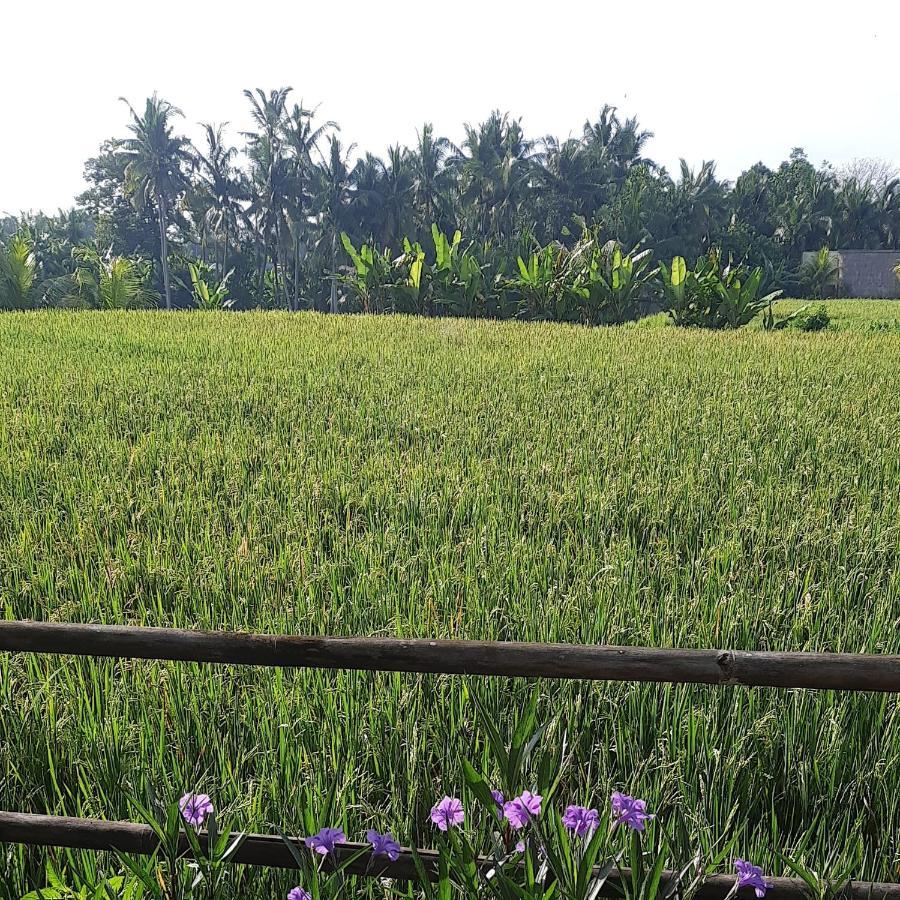 Pb Pondok Gandalangu Garden House Bali 우붓 외부 사진